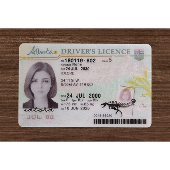 Alberta (Alta) Fake DL (2026 Version)